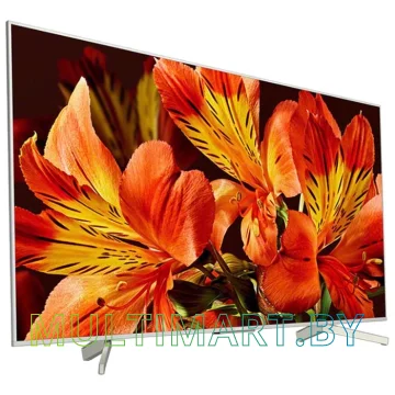 Телевизор Sony KD-49XF8577 картинка 7